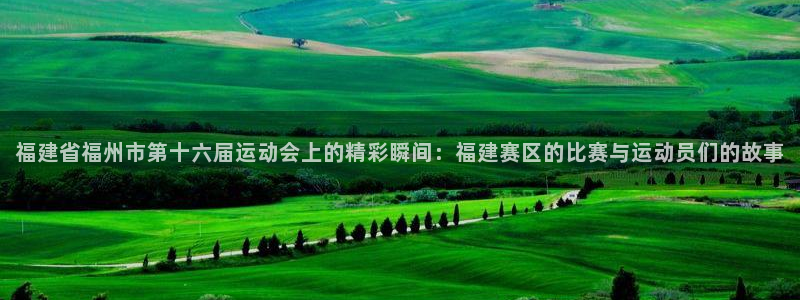 zoty中欧体育平台