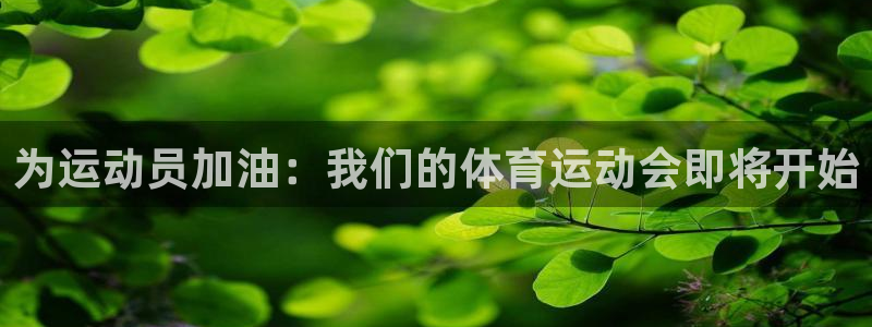 中欧体育官网入口