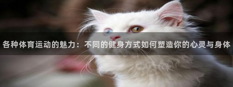 zoty中欧体育网址多少：各种体育运动的魅力：不同的健身方式如何塑造你的心灵与身体