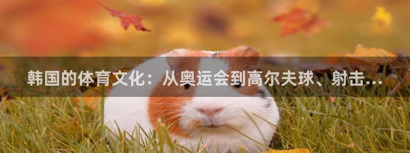 中欧体育在线：韩国的体育文化：从奥运会到高尔夫球、射击...