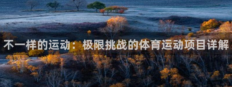 kok中欧体育登录：不一样的运动：极限挑战的体育运动项目详解