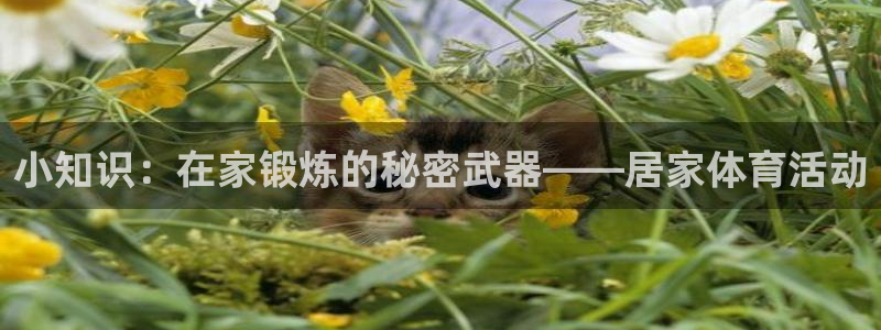 中欧体育网站：小知识：在家锻炼的秘密武器——居家体育活动