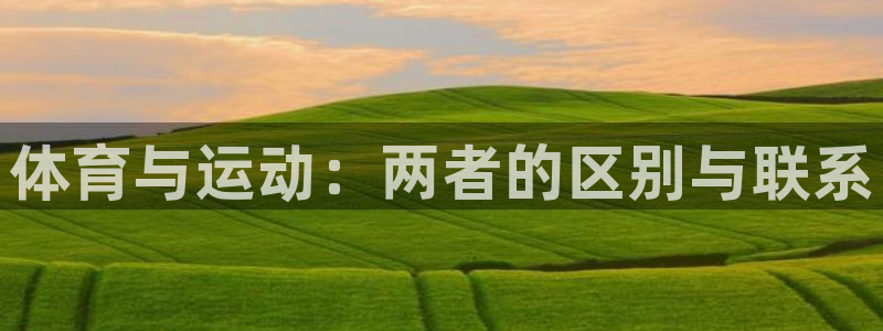 中欧体育网页版