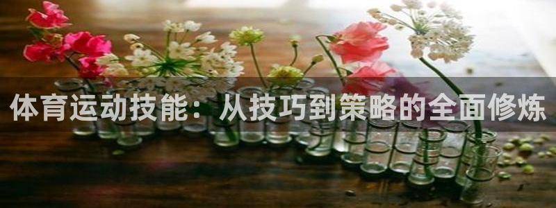 中欧体育全站app
