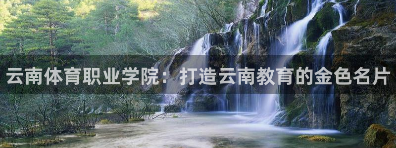 中欧体育网页版