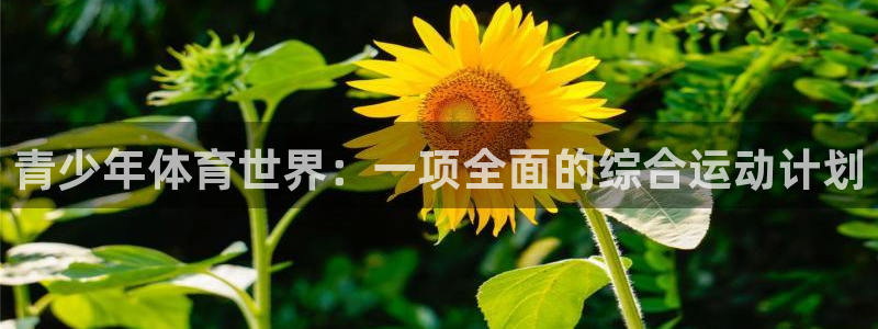 中欧体育客服