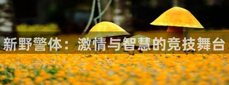 中欧体育ios