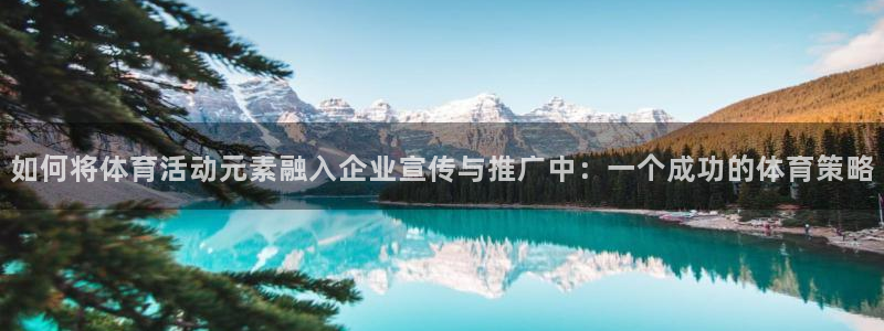 zoty中欧体育平台：如何将体育活动元素融入企业宣传与推广中：一个成功的体育策略