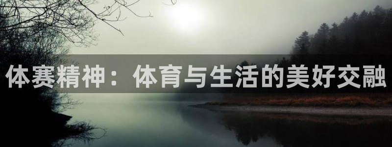 中欧体育zoty下载：体赛精神：体育与生活的美好交融