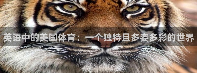 中欧体育下载：英语中的美国体育：一个独特且多姿多彩的世界