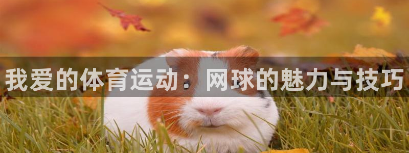 中欧体育网址：我爱的体育运动：网球的魅力与技巧